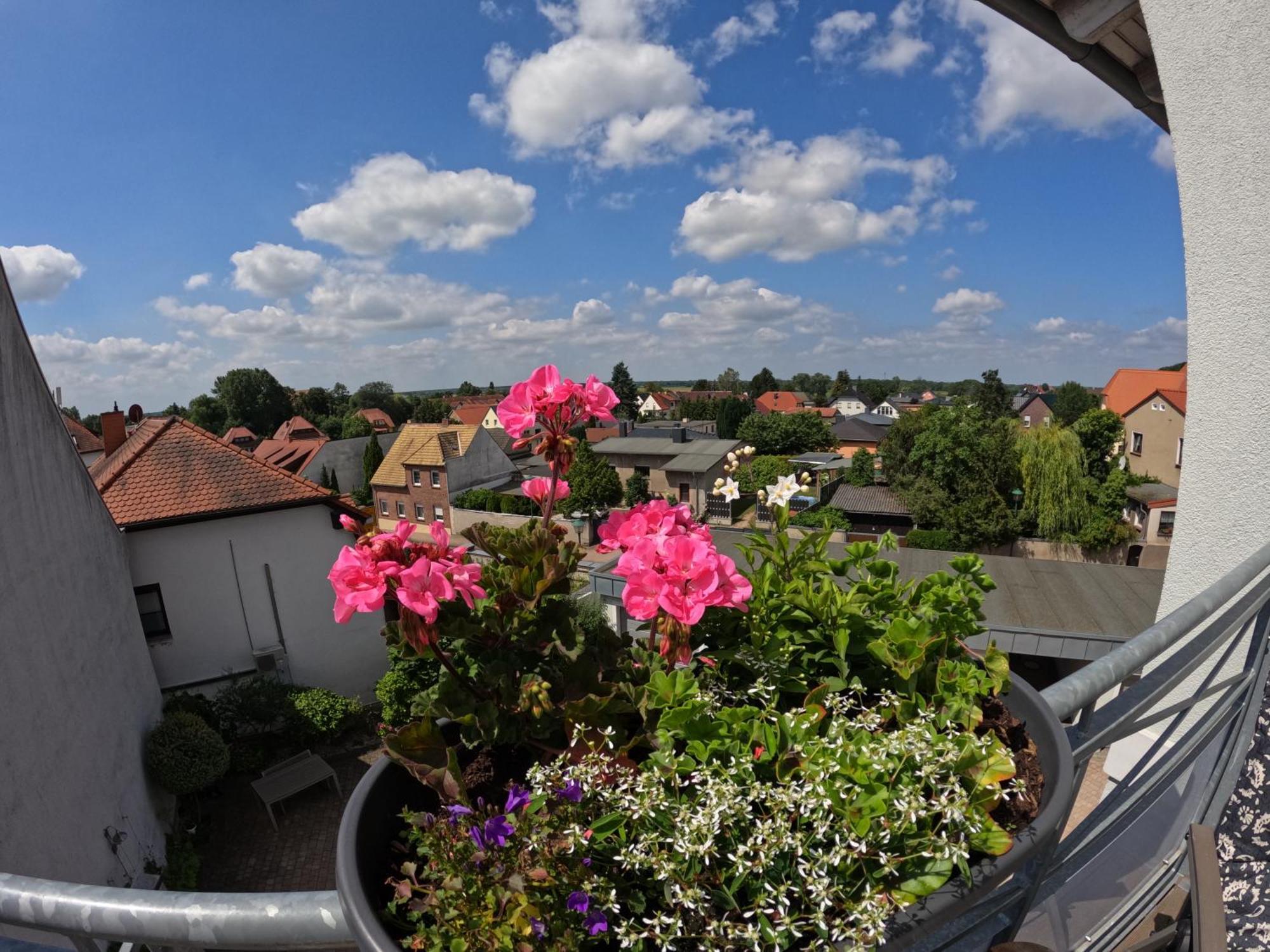 Ferienwohnung Ausblick Bad Düben Extérieur photo